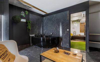 Appartement 1 Chambre