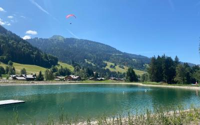 Appartement 1 Chambre