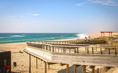 Appartement 1 Chambre