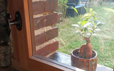 Chambre Double Chambre Double