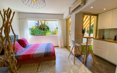 Appartement 1 Chambre