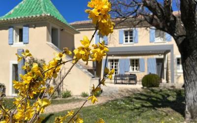 Villa Villa