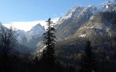 Appartement 3u00a0Chambres