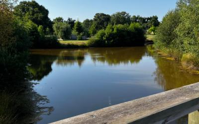 Appartement 1 Chambre Appartement 1 Chambre