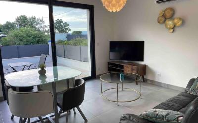 Appartement 1 Chambre