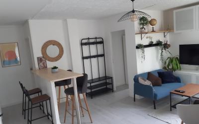 Appartement 1 Chambre Appartement 1 Chambre