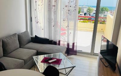 Appartement 1 Chambre