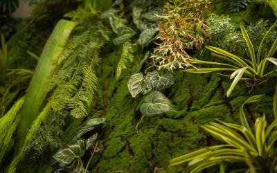 Suite con Vasca Idromassaggio