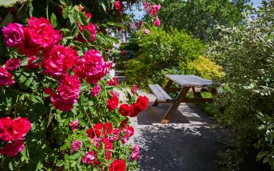 Appartement 1 Chambre Appartement 1 Chambre