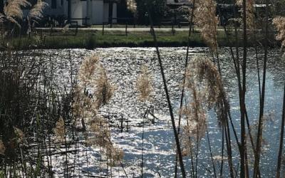 Maison 3u00a0Chambres