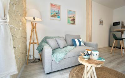 Appartement 1 Chambre