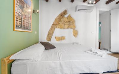 Camera King Standard