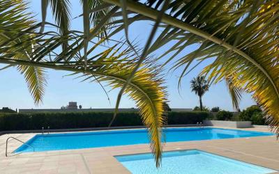 Appartement 1 Chambre