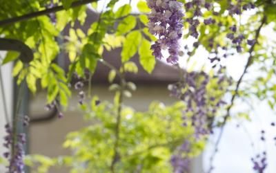 Chambre Familiale (4 Adultes + 1 Enfant) Chambre Familiale (4 Adultes + 1 Enfant)