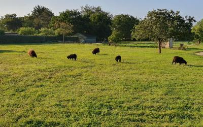 Appartement 2 Chambres