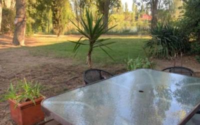 Appartement 1 Chambre