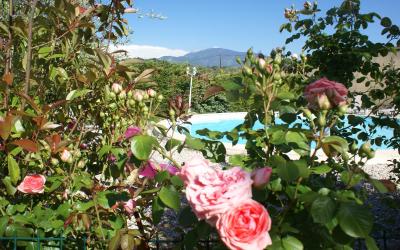 Chambre Double Prestige