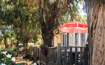 Mobile Home Mobile Home