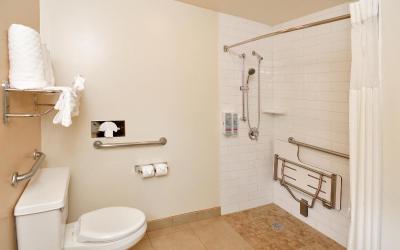 King Room with Roll-In Shower - Disability Access