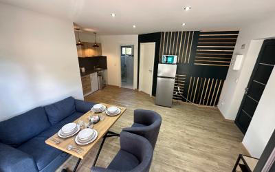 Appartement 1 Chambre