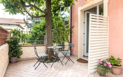 Camera King Standard