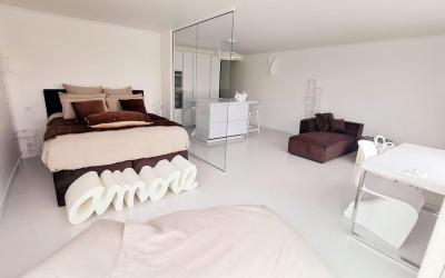 Appartement 1 Chambre