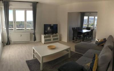 Appartement 1 Chambre