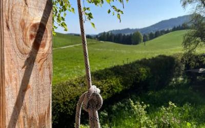 Chalet 1 Chambre Chalet 1 Chambre