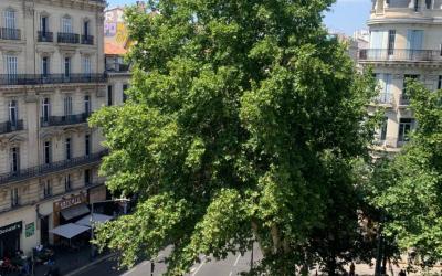 Appartement 3u00a0Chambres