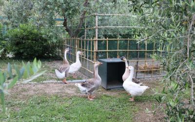 Appartamento con 2 Camere da Letto - Piano Terra 