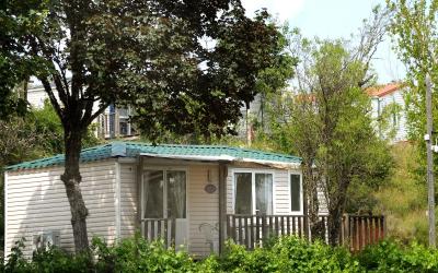 Mobile Home