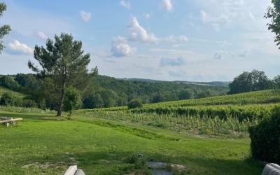 Appartement 1 Chambre