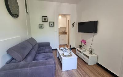 Appartement 1 Chambre Appartement 1 Chambre