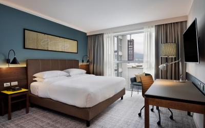 Camera King Executive 