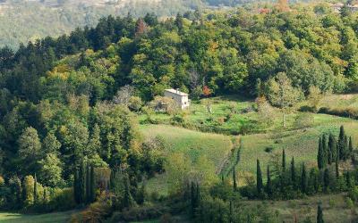 Appartamento con Vista Giardino