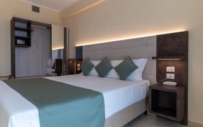 Camera Superioru00a0Matrimoniale/Doppia con Letti Singoli con Vista Giardino 