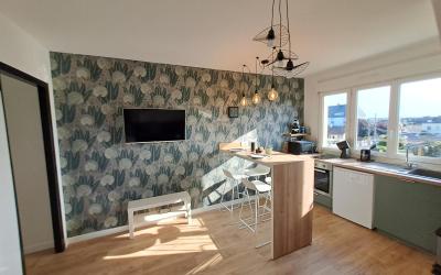 Appartement 1 Chambre