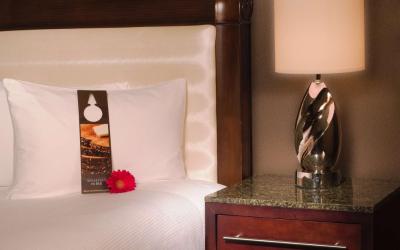 Deluxe Double Room with City View