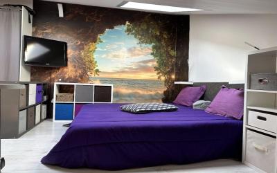 Appartement 1 Chambre