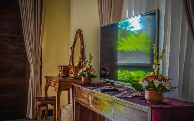 Vila Suite dengan Pemandangan Taman