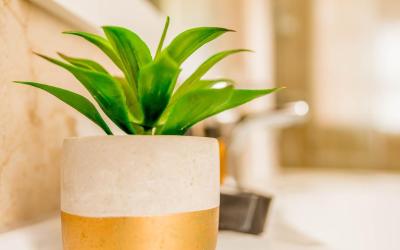 Appartamento con Terrazza