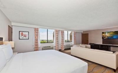 Junior King Suite