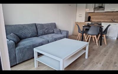 Appartement 1 Chambre