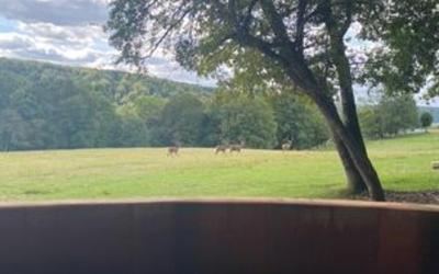 Chalet 2 Chambres Chalet 2 Chambres