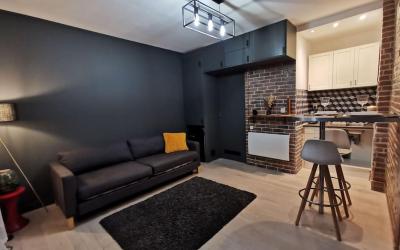 Appartement 1 Chambre