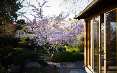 Chambre Double - Vue sur Jardin Chambre Double - Vue sur Jardin