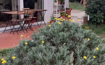 Camera Tripla Basic con Bagno in Comune