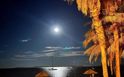 Appartement 1 Chambre Appartement 1 Chambre