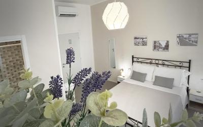 Camera King Standard