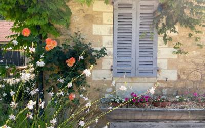 Chambre Double ou Lits Jumeaux Deluxe avec Balcon